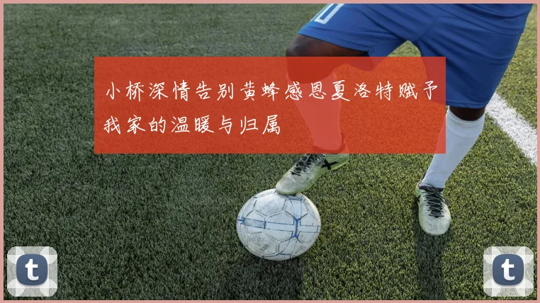 小桥深情告别黄蜂感恩夏洛特赋予我家的温暖与归属