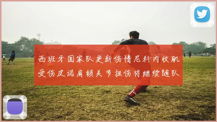 西班牙国家队更新伤情尼科内收肌受伤皮诺肩锁关节扭伤将继续随队训练