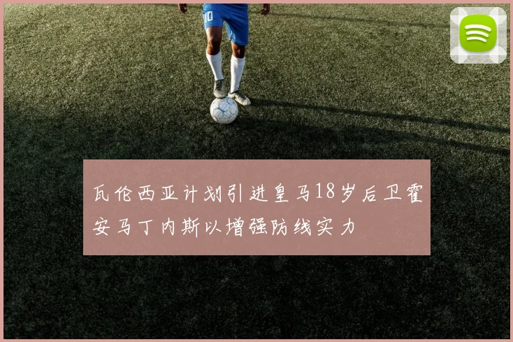 瓦伦西亚计划引进皇马18岁后卫霍安马丁内斯以增强防线实力